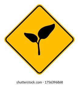 Plant and road sign on white