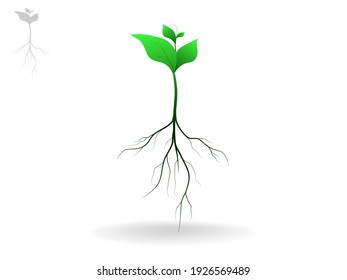 786,031 Plant with roots Images, Stock Photos & Vectors | Shutterstock