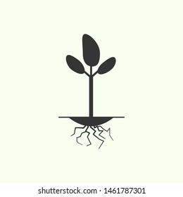 Plant with root icon. New trend plant with root vector illustration icon. Ecology icon.