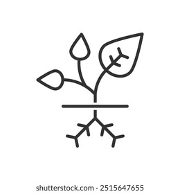 Plant Root Icon Sign Symbol