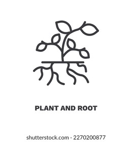 plant and root icon. Thin line plant and root, plant icon from ecology collection. Outline vector isolated on white background. Editable plant and root symbol can be used web and mobile