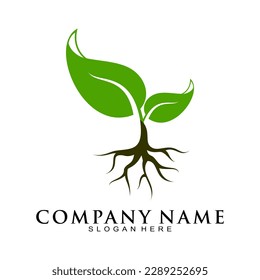 Plant with root illustration vector logo