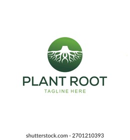 Planta raíz logo diseño Plantilla Vector símbolo ilustración