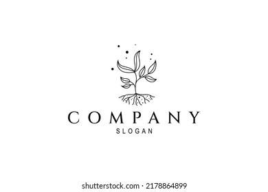 plant root logo with line art design style
