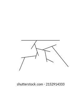 Plant root on white background