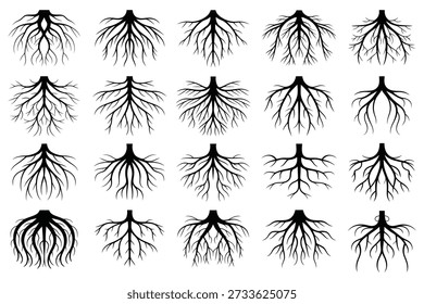 Plant root system silhouettes roots plant roots
