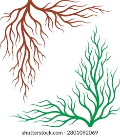 Plant root systems 