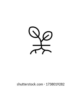 Icono de vector de planta y raíz en lineal, icono de contorno aislado en fondo blanco