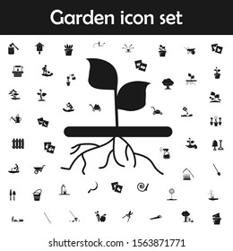 Plant with roots icon. Garden icons universal set for web and mobile