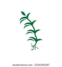 plant with roots illustration icon vector