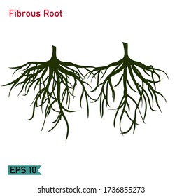 
plant roots. plant root silhouette in a flat style. fibrous root