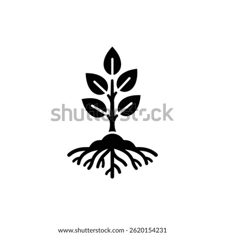 Plant with Roots Spreading Out Symbolizing Stability and Growth