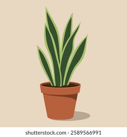 Plant Sansevieria in pot. Vector Illustration art