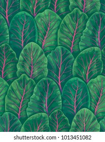 Plant seamless pattern of beet leaves