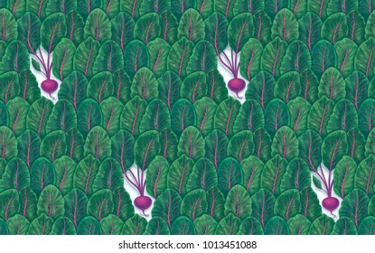 Plant seamless pattern of beet leaves and beetroot
