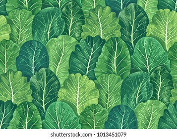 Plant seamless pattern of cabbage leaves