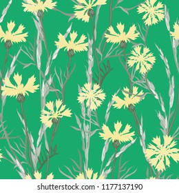 Plant seamless pattern of cornflowers and field spikelets, vector background illustration.