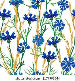 Plant seamless pattern of cornflowers and field spikelets, vector background illustration.