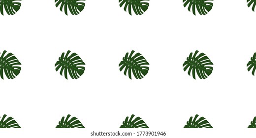 Plant seamless pattern, Green monstera leaves on white wallpaper. 
