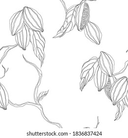 Plant seamless pattern, hand drawn black line art cocoa tree on white