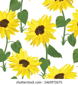 plant seamless pattern of high bright yellow flowers with leaves and sunflowers stems on white background