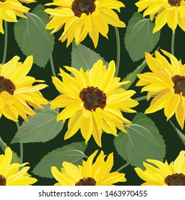 plant seamless pattern of large bright yellow flowers sunflowers with leaves and stems on the dark green background