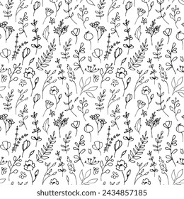 Plant seamless Pattern. Linear Vector illustration with herbs in doodle style painted by black inks on white isolated background. Floral backdrop for wrapping paper or textile design. Outline ornament