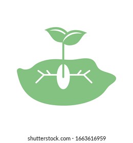 plant seed growing in the ground icon over white background, silhouette style, vector illustration