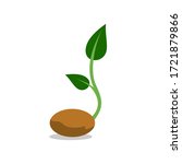 Plant seed growth clipart vector
