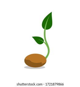 Plant seed growth clipart vector