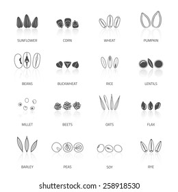 Plant Seed Icon Black Set With Beans Buckwheat Rice Lentils Isolated Vector Illustration