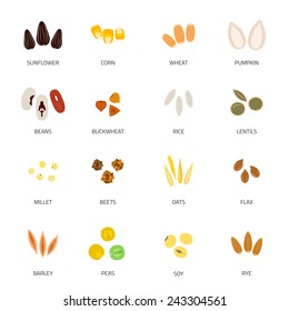 Plant seed icon flat set with sunflower corn wheat pumpkin isolated vector illustration