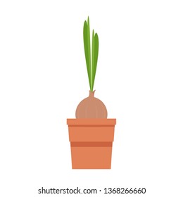 plant seed in the pot vector. wallpaper. free space for text. copy space.