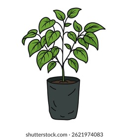 plant seed vector flat design, for icon stickers and poster assets