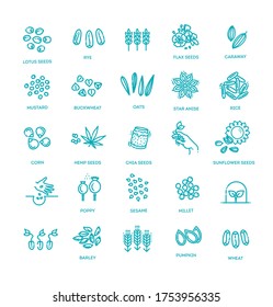 Plant seed vector icon set