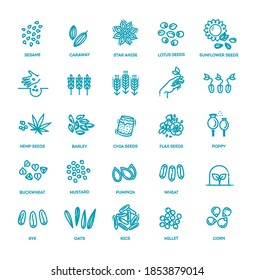 Plant seed vector icon set