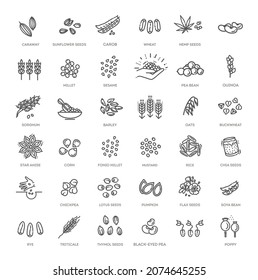 Plant seed vector icon set