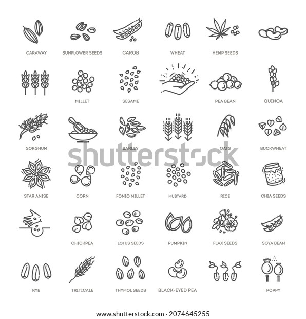 Plant seed vector icon\
set