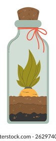 Plant seedling with green leaves growing inside sealed glass bottle filled with soil layers. Plant bulb germinates in florarium. Environmental protection and plant lifecycle. Flat vector illustration.