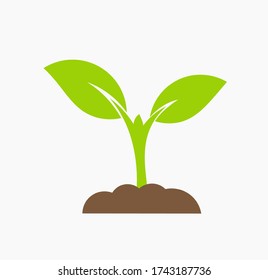 Plant seedling growing from soil in the garden icon. Vector illustration.