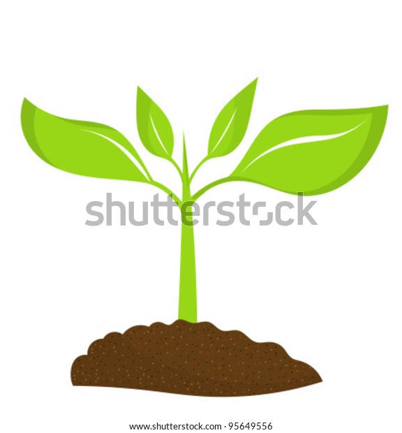 Plant Seedling Growing Soil Vector Illustration Stock Vector (royalty 