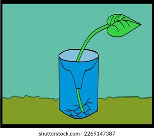 Plant seedling in plastic bottle