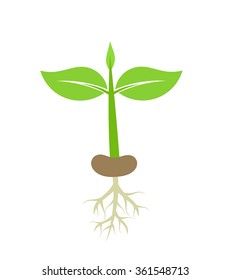 Planting Seed Stock Illustrations, Images & Vectors | Shutterstock