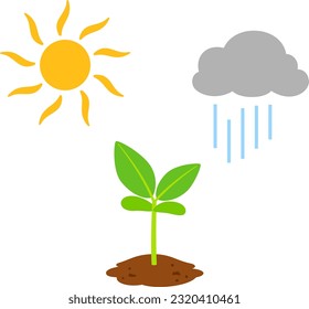 Plant seedling with sun and rain clouds