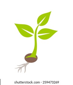 Plant seedling. Vector illustration