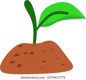 Plant seedlings with soil and fresh green leaves.