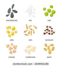 Plant seeds, cereal grains set. Vector illustrations of collection with inscriptions. Planting seedling, pumpkin sunflower buckwheat oat chickpea rice wheat seeds isolated on white. Harvest concept