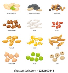 Plant seeds. Cereals grains, chickpeas nuts and cellulose grain. Nut and seed. Planting seedling pumpkin, sunflower and chickpea seeds. Isolated cartoon vector illustration icons set