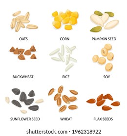 Plant seeds and cereals illustration set. Different grains and beans vector collection with inscriptions. Buckwheat, millet, corn, rice, oat, wheat. Harvest and vegetarian concept