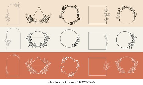 Plant with seeds exotic flower with leaves in outline style. A set of elements of botanical design. Frames, borders, wreaths, leaves, herbs, flowers, bouquets. Botanic floral elegant square frame set 